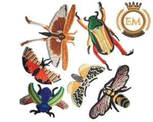 Animals and Insects