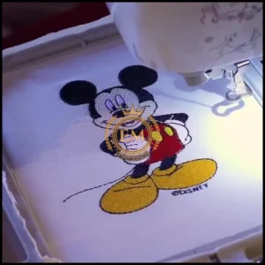 Built-In Embroidery Designs And Patterns