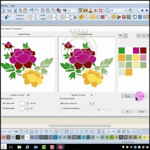 Editing colors and thread conversions