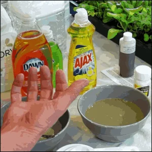 Mild Soapy Water