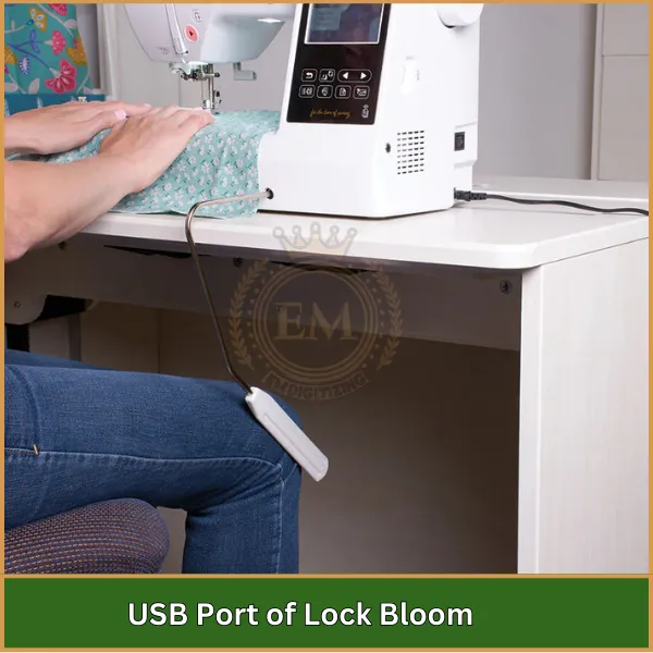 USB Port of Lock Bloom