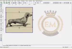 Learn Different Software for Embroidery