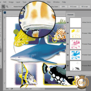 Factors to Consider When Choosing Color Separation Software