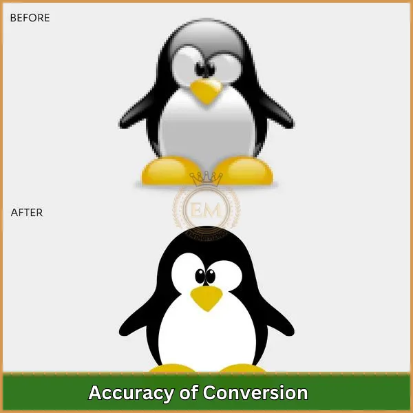 Accuracy of Conversion