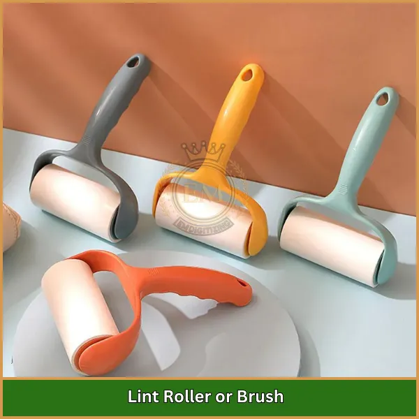 Lint Roller or Brush