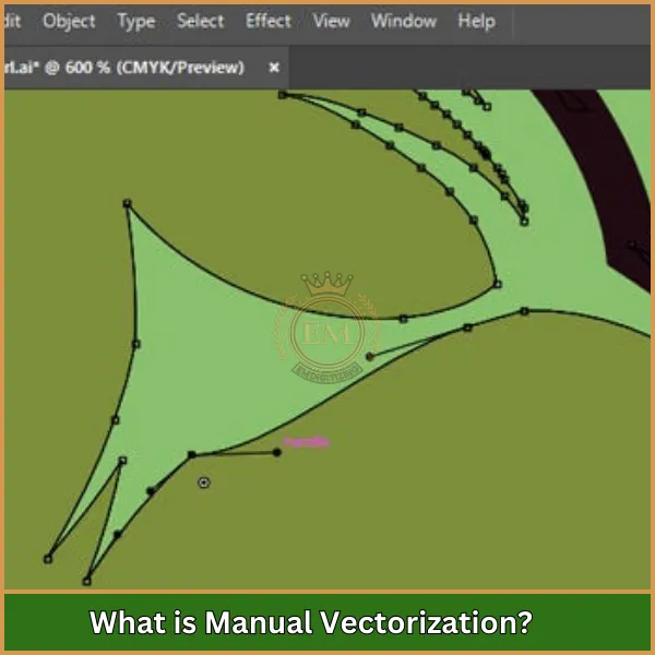 What is Manual Vectorization