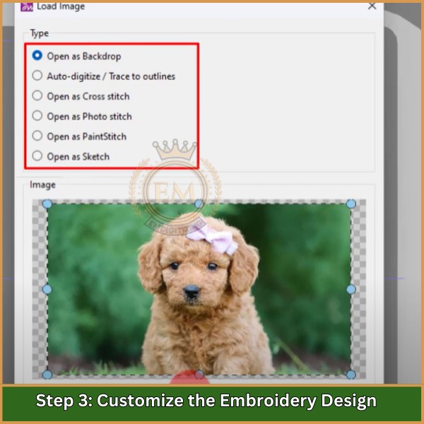 Customize the Embroidery Design
