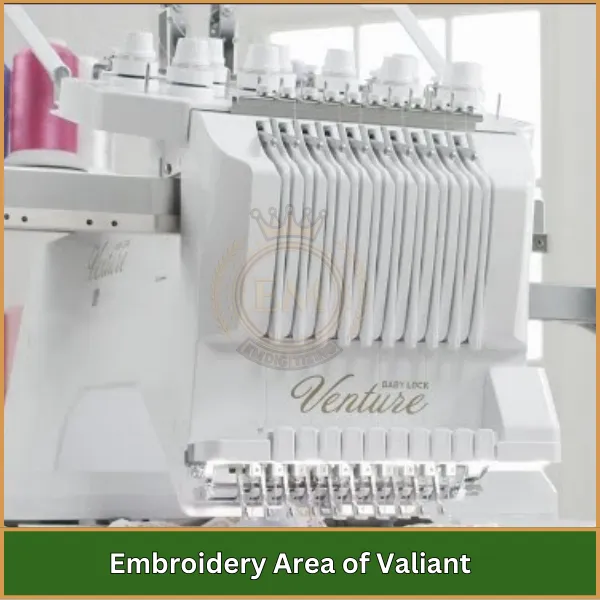 Embroidery Area of Valiant