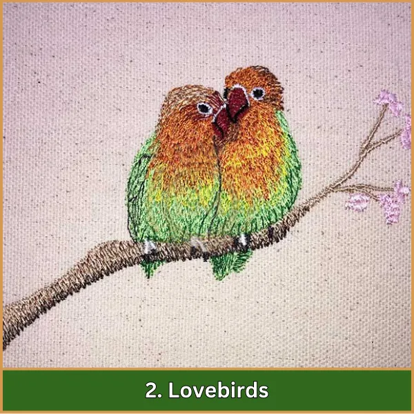 Lovebirds