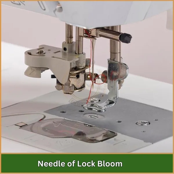 Needle of Lock Bloom