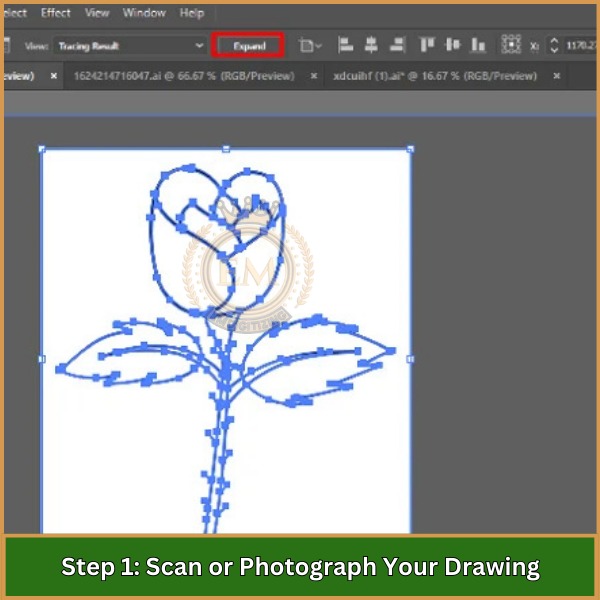 Scan or Photograph Your Drawing - How to Turn a Drawing into a Vector A Comprehensive Guide