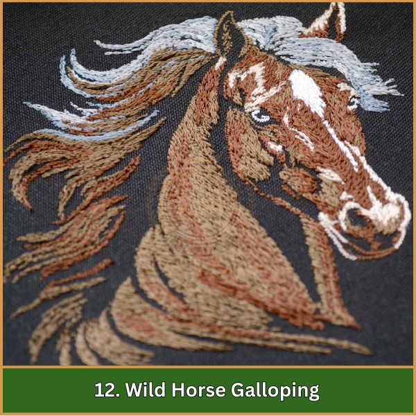 Wild Horse Galloping