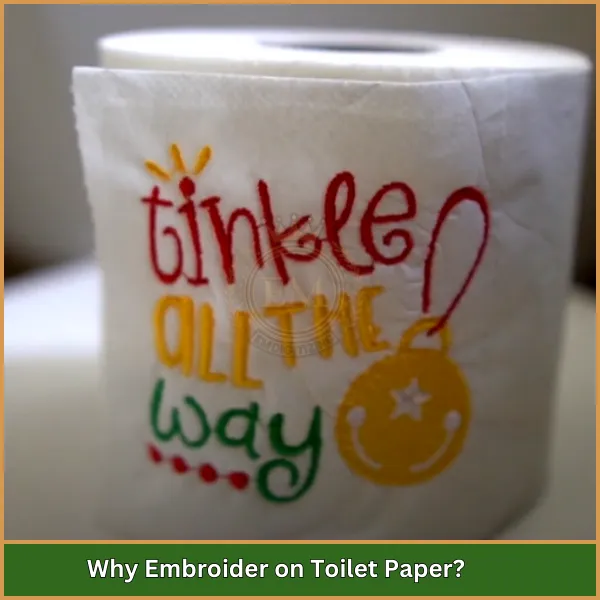 Why Embroider on Toilet Paper