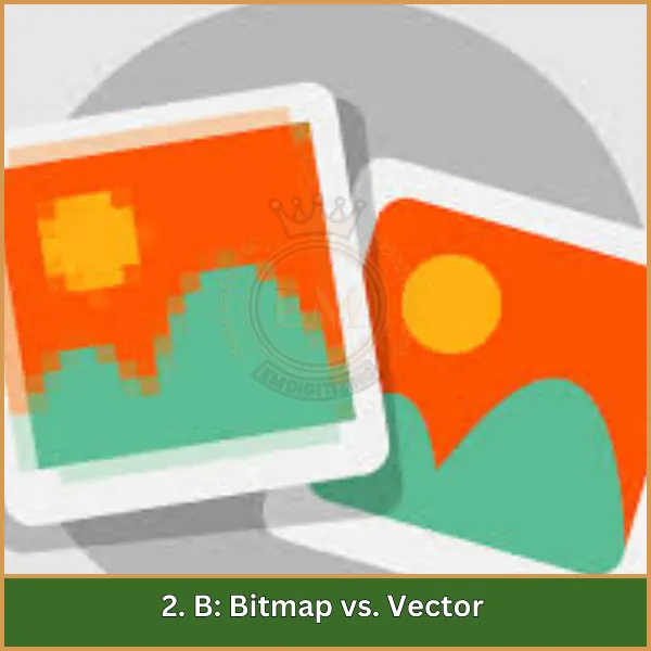 2. B Bitmap vs. Vettore