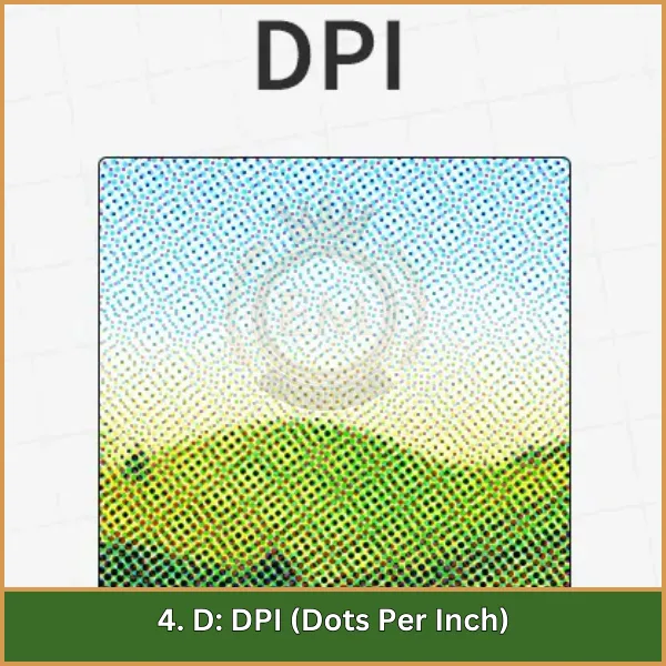 4. D DPI (Dots Per Inch)