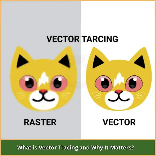 What is Vector Tracing and Why It Matters